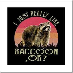 Irresistible Raccoon Style Shirt Posters and Art